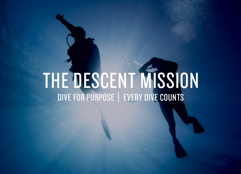 The Descent Mission
