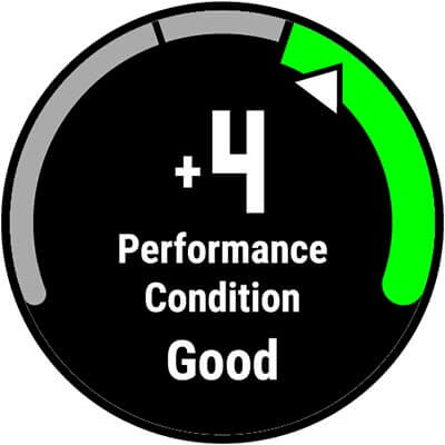 A watch screen showing performance condition.